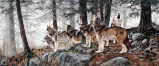 andrew kiss wolf print primal song 12 x 7 75