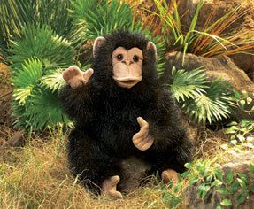 Baby Chimpanzee Folkmanis Plush Hand Puppet 2877 Christmas Stocking 