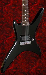 New Rich Chuck Schuldiner Stealth Tribute Guitar Onyx