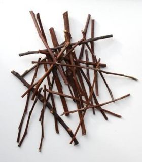  Healthy Treat Premium Organic Apple Wood Chew Sticks 1 8 Lb