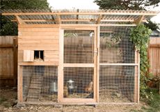 The Garden Coop walk in chicken coop plans make it easy to build and