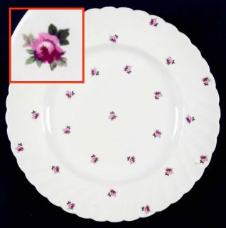 Royal Staffordshire Clarice Cliff Dinner Plate S3400034G2