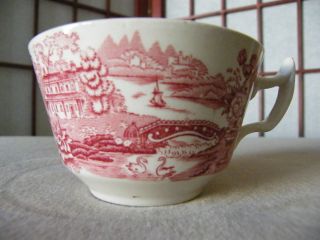 Royal Staffordshire Tonquin Clarice Cliff Tea Cup