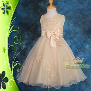 CLEARANCE Champagne Wedding Flower Girl Bridesmaid Party Dress Size 7