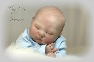 Reborn Spencer by Wendy Dickison New Realistic Lifelike Fake Baby Boy