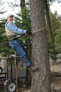  Tree Climbing Gear