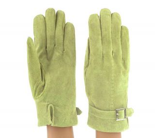 ComforTemp Washable Suede Ladies Gloves w/Silvertone Buckle