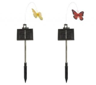 Set of 2 Solar Powered Butterflies or Dragonflies by Smart Solar 