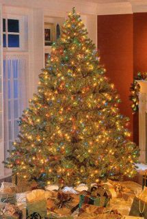 Roman Bethlehem Pre Lit Douglas Fir Christmas Tree —