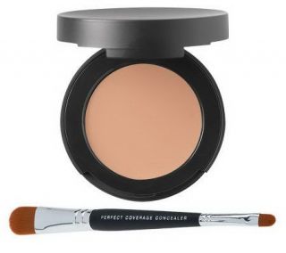 bareMinerals SPF 20 Correcting Concealer w/ Dual End Brush —