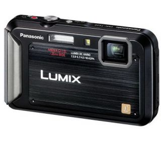 Panasonic Lumix 12.1MP 4x Op Zm Dig Camera w 8GB Class 10 SDHC