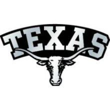 Texas Longhorns Chrome Auto Emblem Decal Football
