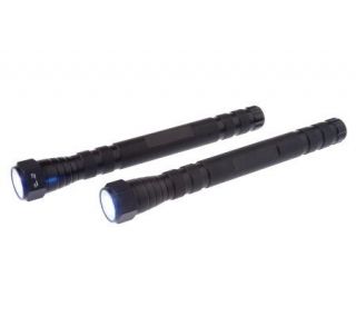 Set of 2 3 LED Telescoping Lights with Magnetic Head —