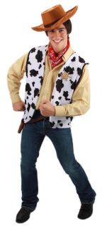 Toy Story Deluxe Woody Hat Costume Accessory Adult New