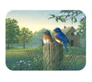 Tuftop Country Morning BluebirdsTempered Glass Kitchen Board   K125457