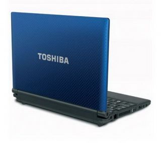 Toshiba 10.1 Mini Netbook   1GB RAM, 250GB HDwith Webcam —
