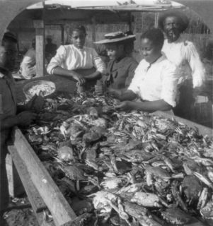 1905 photo of Picking crabs for market, on banks of Chesapeake Bay, Md