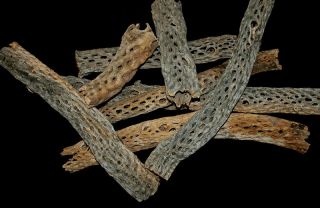  Wood Dried Aquarium Decor Hermit Crab Reptile Habitat Supplies