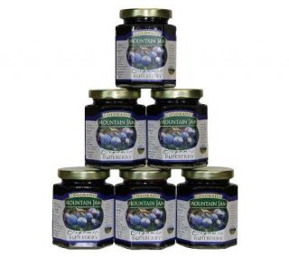 Colorado Mountain Jam Certified Organic Blueberry Jam —