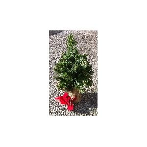 Christmas Mini Christmas Tree 9 inches Tall with Woven Bag Base Mini