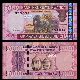  Banknote Rwanda 2009 Mountain Gorilla Scene Pick 33 Crisp UNC