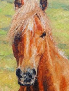 Wild Pony Superb David Stribbling Horse Oil Painting
