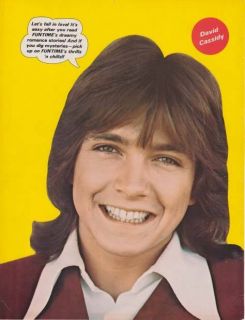 DAVID CASSIDY MINI POSTER 1973 Teen Pin Up THE PARTRIDGE FAMILY Full