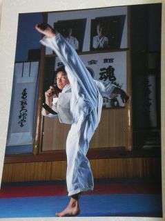 shin kyokushin Karate Kenji Midori book shinkyokushinkai Martial Arts