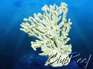 Table Coral Replica Reef Aquarium Nautical Decor Med