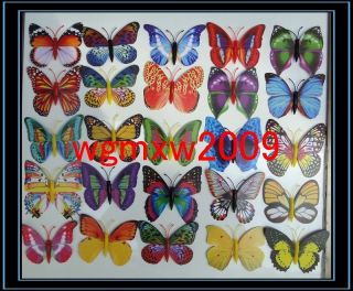  Mixed Magnetic Butterfly Wedding Festival Party Decoration 3