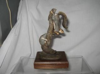  Collection Squirrels Audobon Bronzes by Norman Herman Deaton