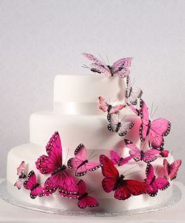 Pink Butterfly Butterflies Wedding Cake Decorations
