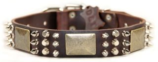 Leather Large Spiked Plated Dog Collar by Dean Tyler