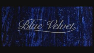 Blue Velvet (DVD 1986) David Lynch Isabella Rossellini Dennis Hopper
