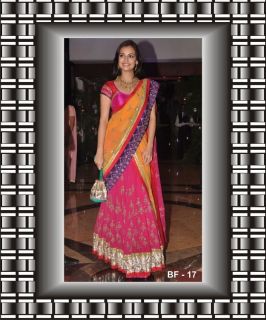 AABF17INDIAN Bollywood Dia Mirza Designer Embroidery Border Saree Sari