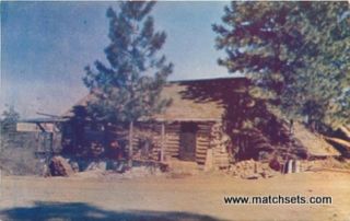 Diboll Texas Southern Pine Lumber Company Postcard