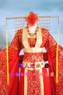 Custom made Chinese chiffon brocade Hanfu Dress