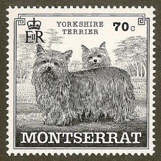 Dog Pen Ink Line Art Postage Stamp YORKSHIRE TERRIER Montserrat Europe