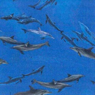 Dolphins Dolphin Fish Water Print Fleece Fabric