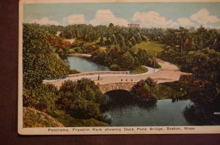 Franklin Park Duck Pond Boston MA Vintage Postcard