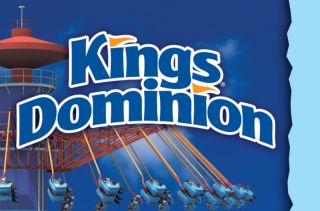 buying this auction gets you a promo code to use on kings dominion