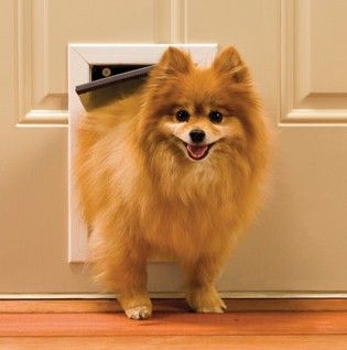 New Small Pet Dog Cat Door Panel Patio Doggie Flap Up to 15lb Dogs