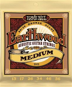 Ernie Ball Earthwood Medium Gauge Acoustic Strings 2002