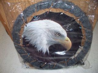 Bald Eagle Dream Catcher Collectible New Wall Decor New
