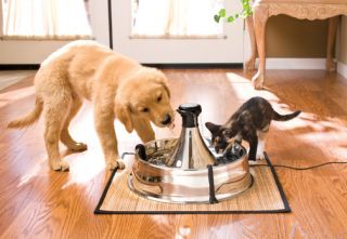 Drinkwell Stainless Steel 360 Pet Fountain Water Dish for Dogs Cats