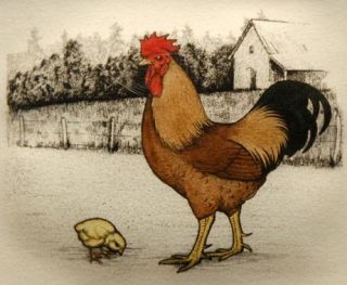 Dubose Lithograph New Hampshire Rooster Chick on Farm
