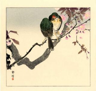 okuhara seiko two japanese robins on a flowering branch date