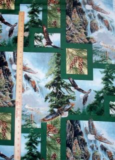 Wild Wings Clayton Weirs Eagle Wildlife Springs Creative Products