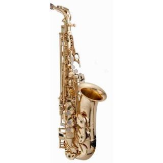  ALS502 Elite Series Eb Alto Saxophone w/ Case and Accessories $1730