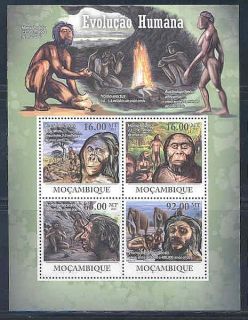  Mozambique Human Evolution Homo Erectus Sheet